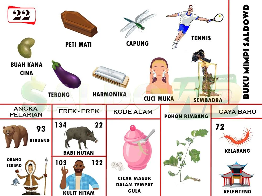 buku mimpi erek erek togel 22