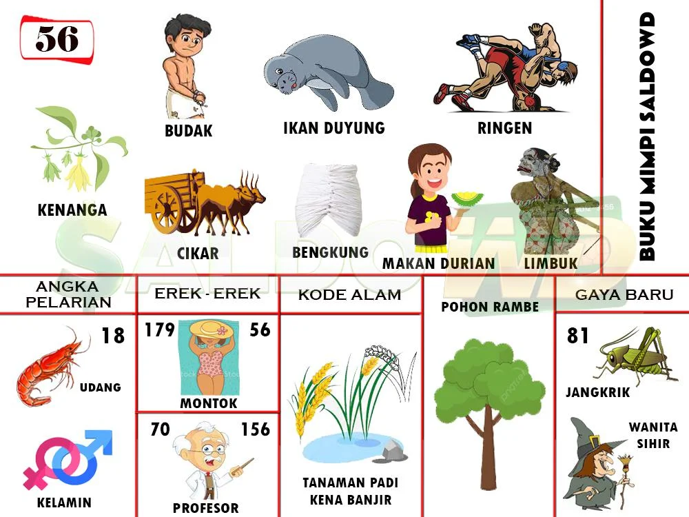 buku mimpi erek erek togel 56